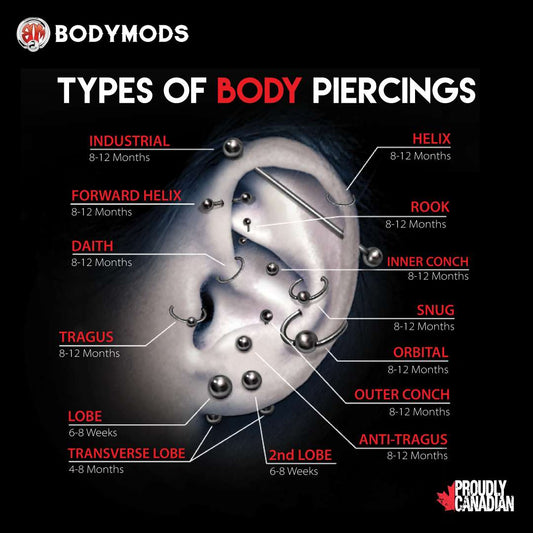 Piercings-Poster-Features
