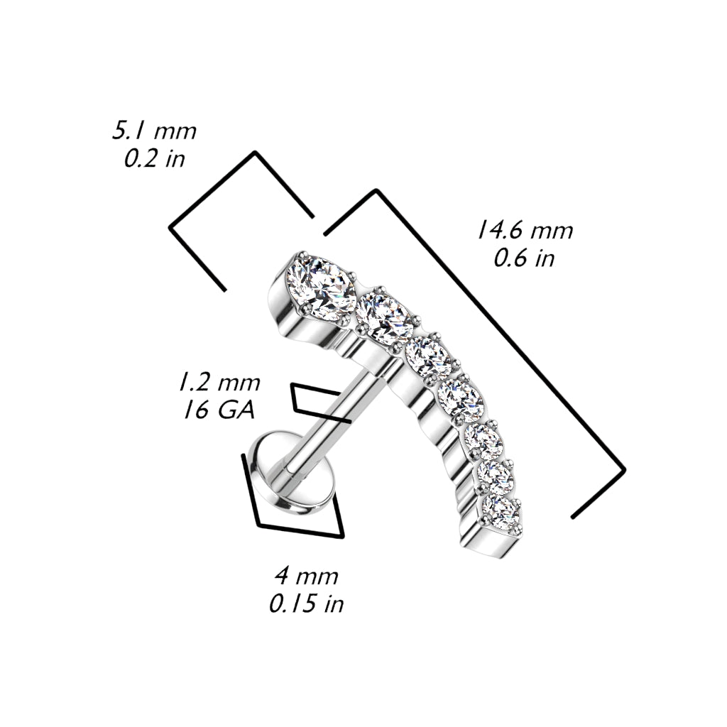 Premium G23 Titanium Multisize Circles Threadless Flat Back