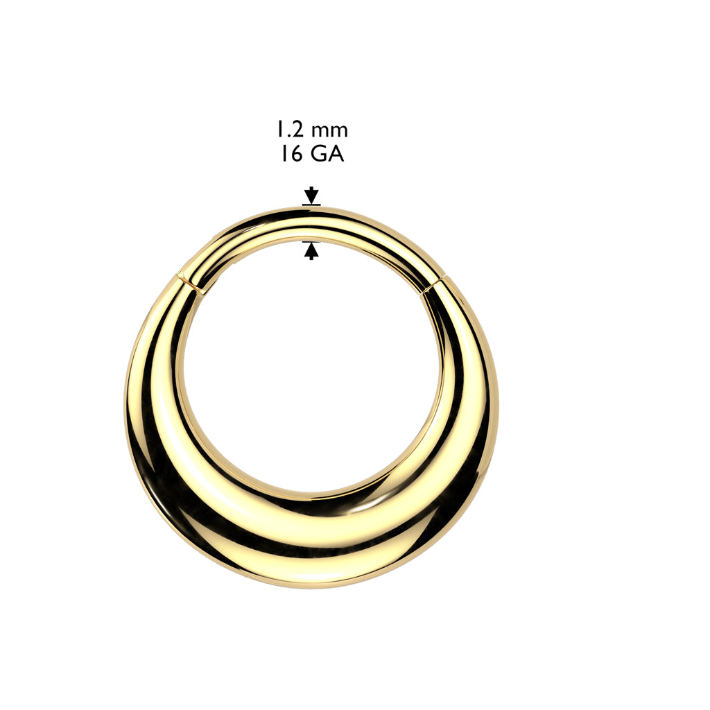 Premium Maximalist Curve Hinged Segment Ring 16g