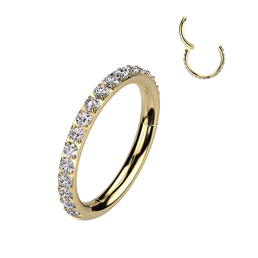 Premium G23 Titanium Claw-Set Crystal Edge Segment Ring 16g