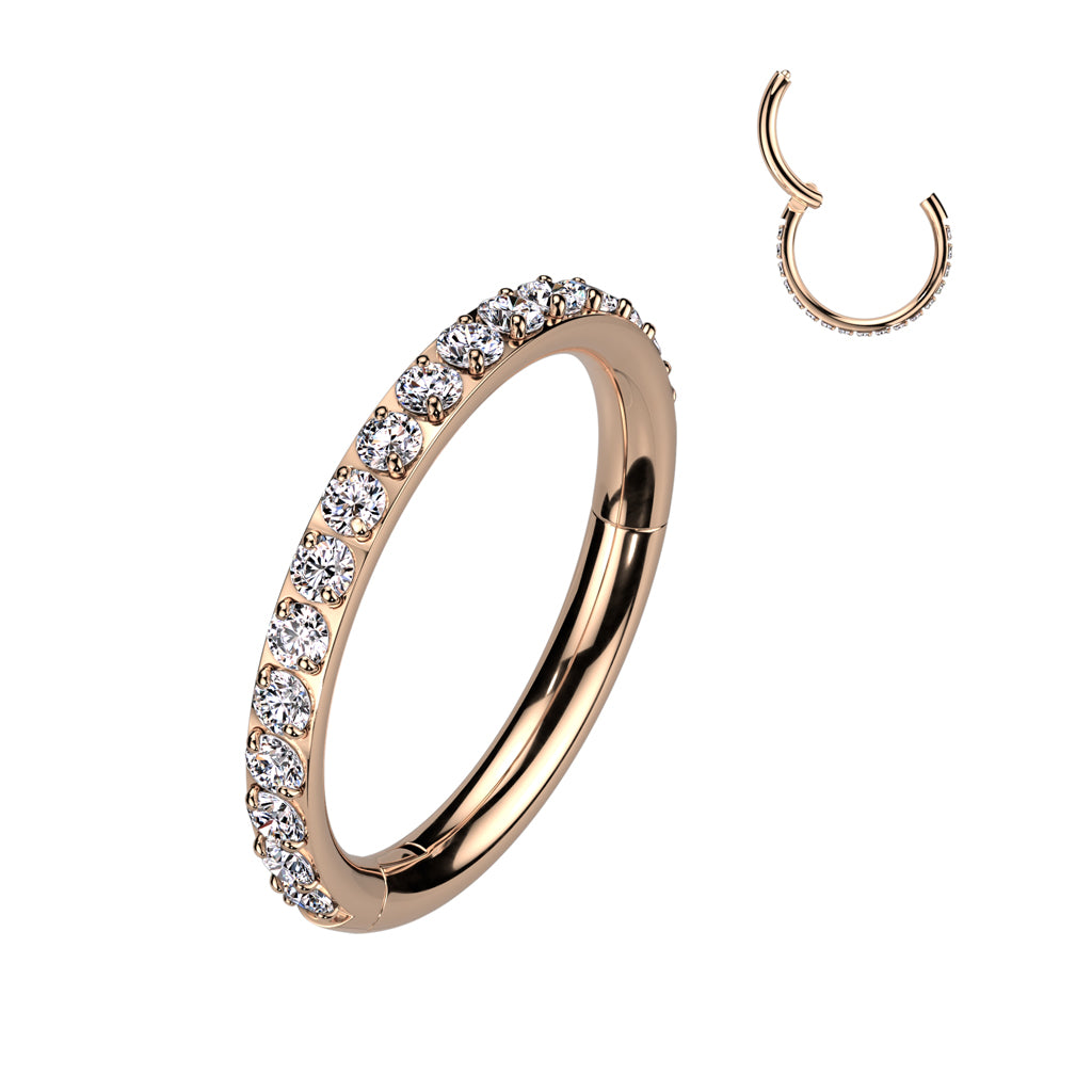 Premium G23 Titanium Claw-Set Crystal Edge Segment Ring 16g