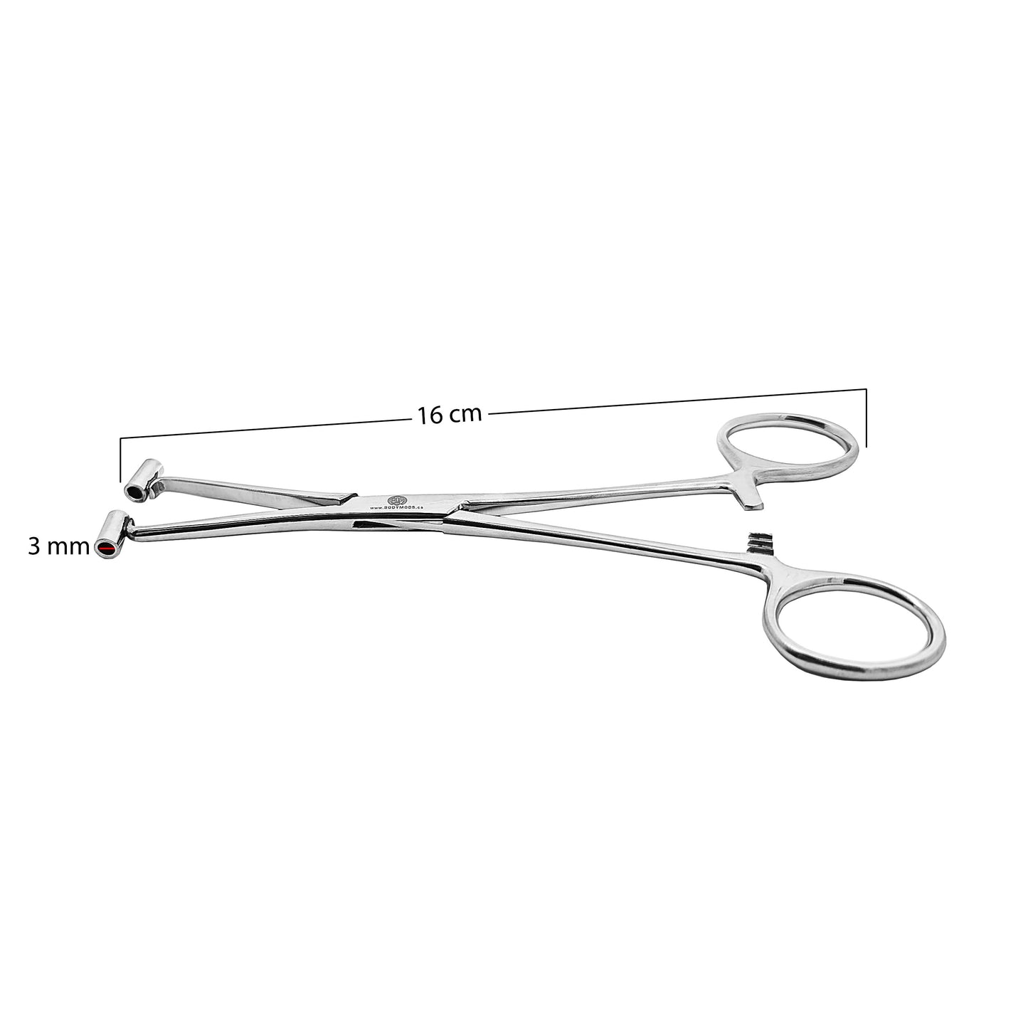 Steel Septum Piercing Forceps - Style #3