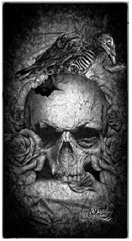 digoil-renowned-signature-collection-art-canvas-crow-skull