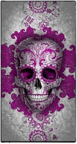 digoil-renowned-signature-collection-art-canvas-floral-skull-pink