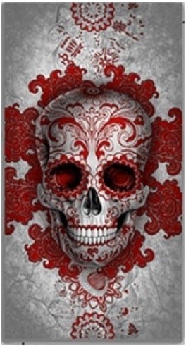 digoil-renowned-signature-collection-art-canvas-floral-skull-red