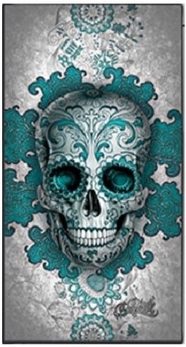 digoil-renowned-signature-collection-art-canvas-floral-skull-teal