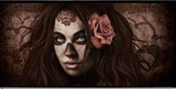 digoil-renowned-signature-collection-art-canvas-megan-cantina