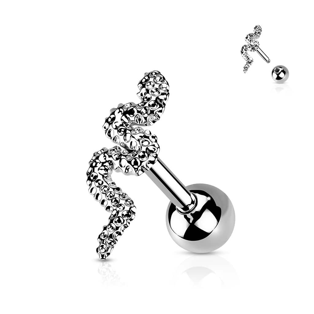 paved snake cartilage (4)