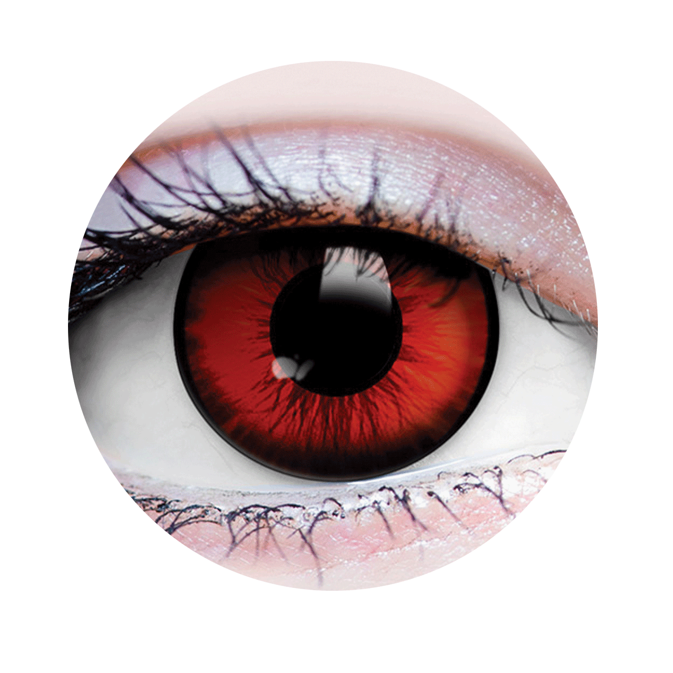 Dracula II - Primal Contacts