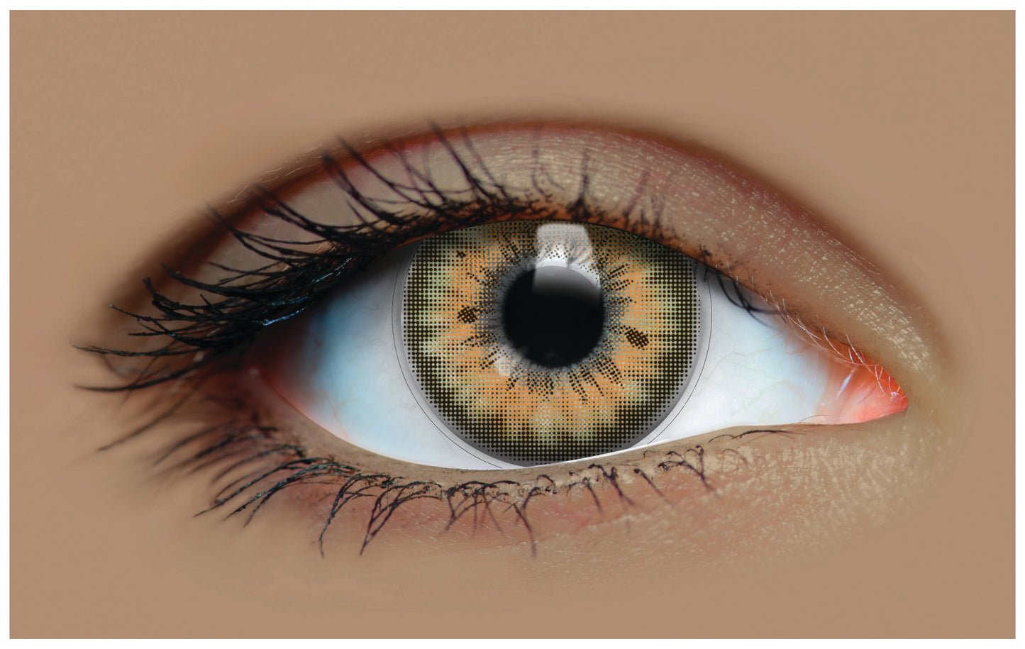 Hazel Harmony - Green and Brown Colored - Primal Contact Lenses