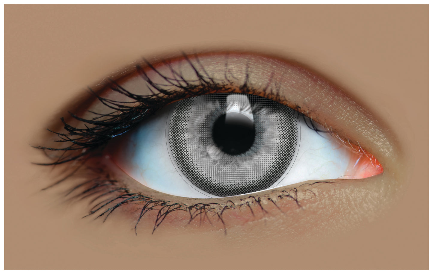Mystic Mist - Gray Colored - Primal Contact Lenses
