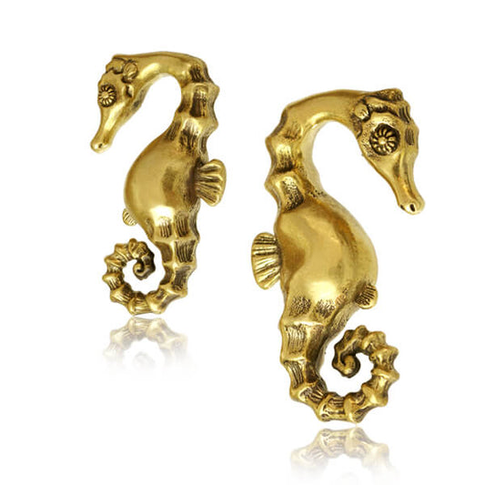 Brass Sea Horse 6g $119