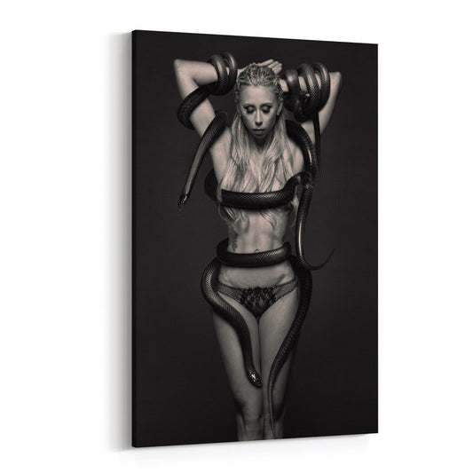 DBOE409_Medusa[1]