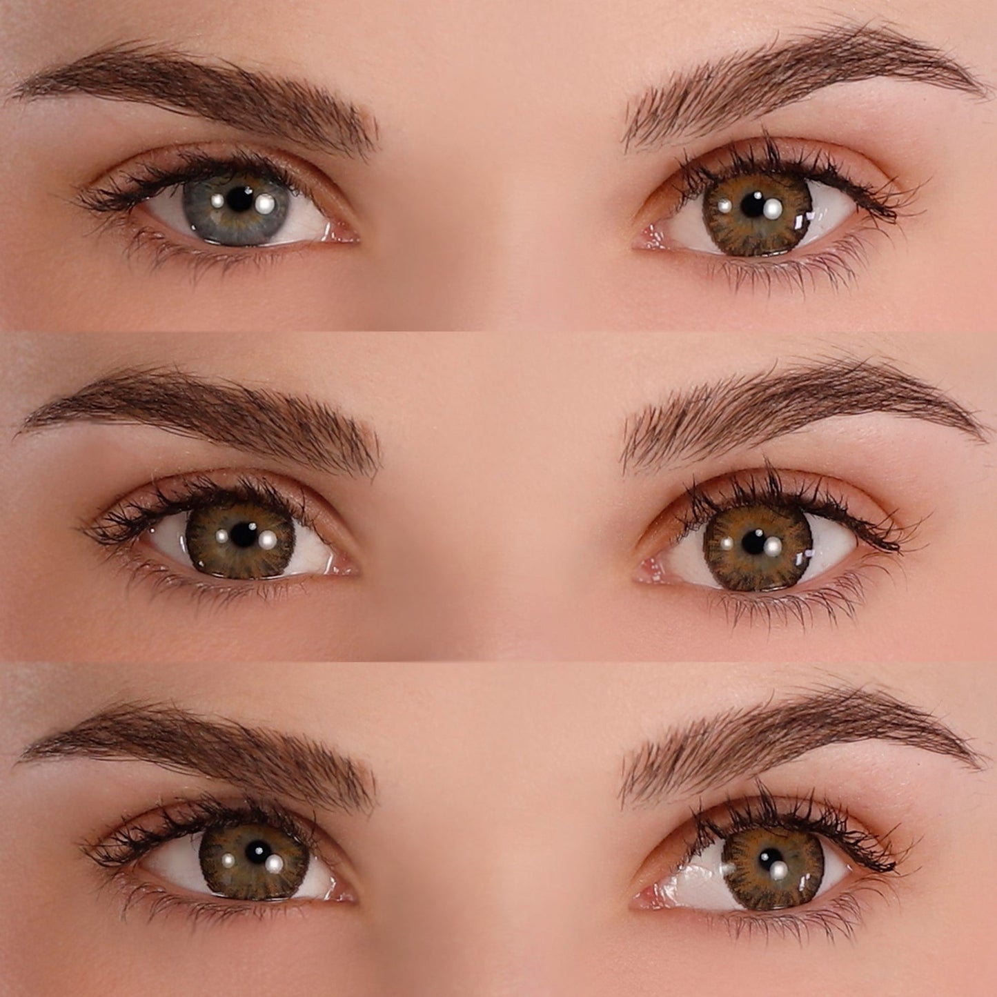 Delightful Honey - Light Brown Colored - Primal Contact Lenses