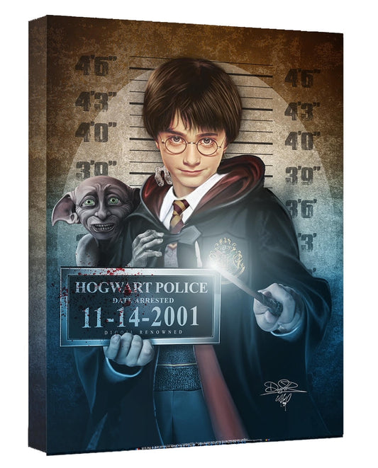 Harry Potter