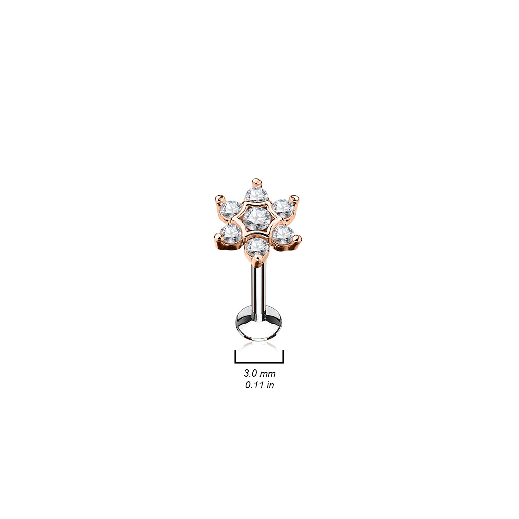PREMIUM Claw + Bezel Flower Flat Back 16g