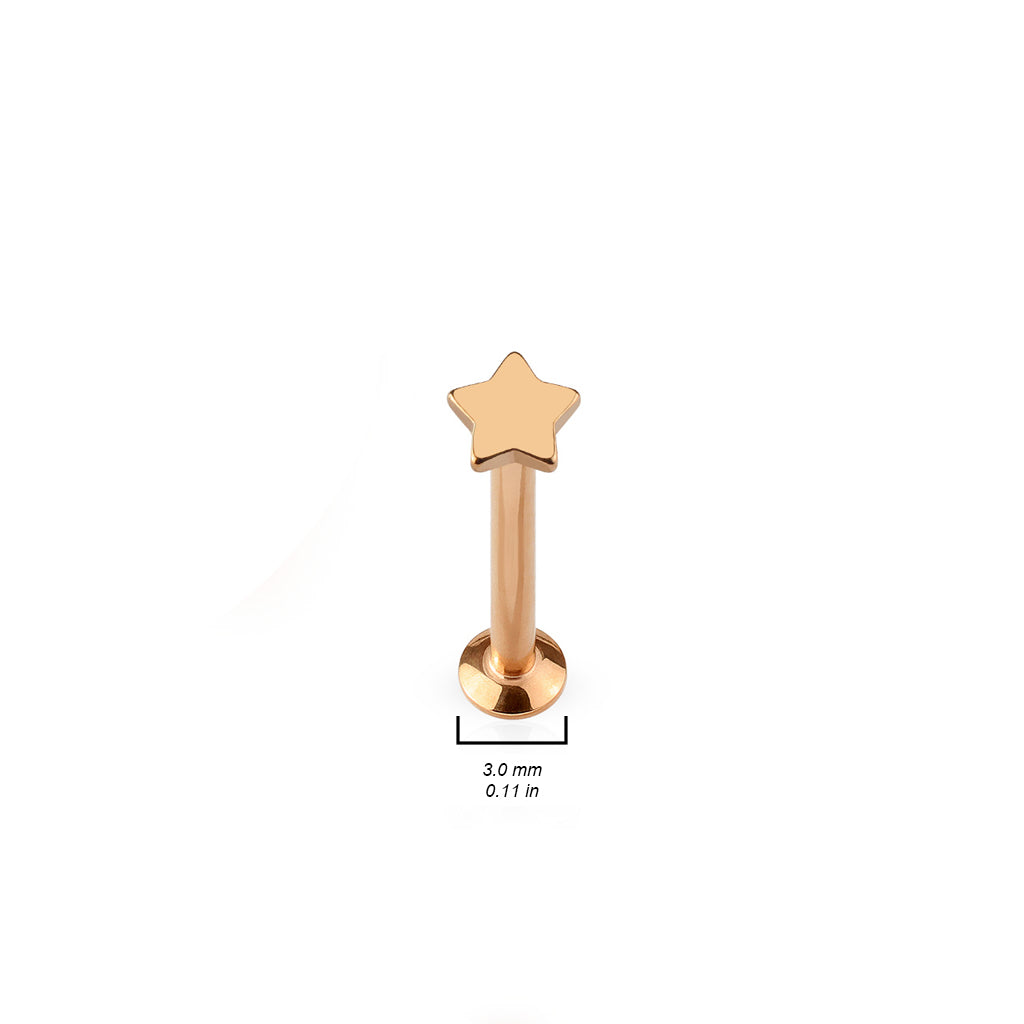 Premium PVD Steel Star Flat Back 16g