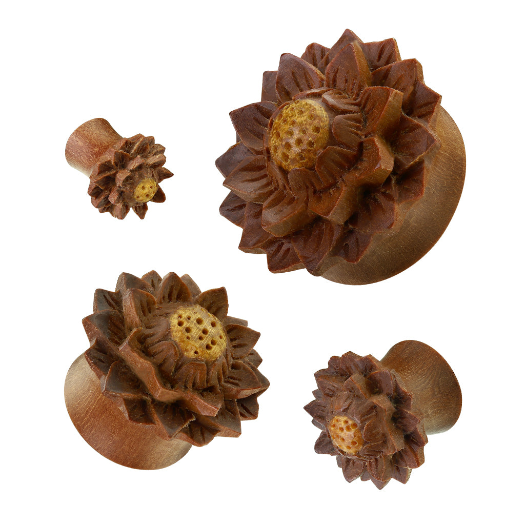 Jackfruit Wood + Lotus Double Flare Plugs 00g - 7/8"