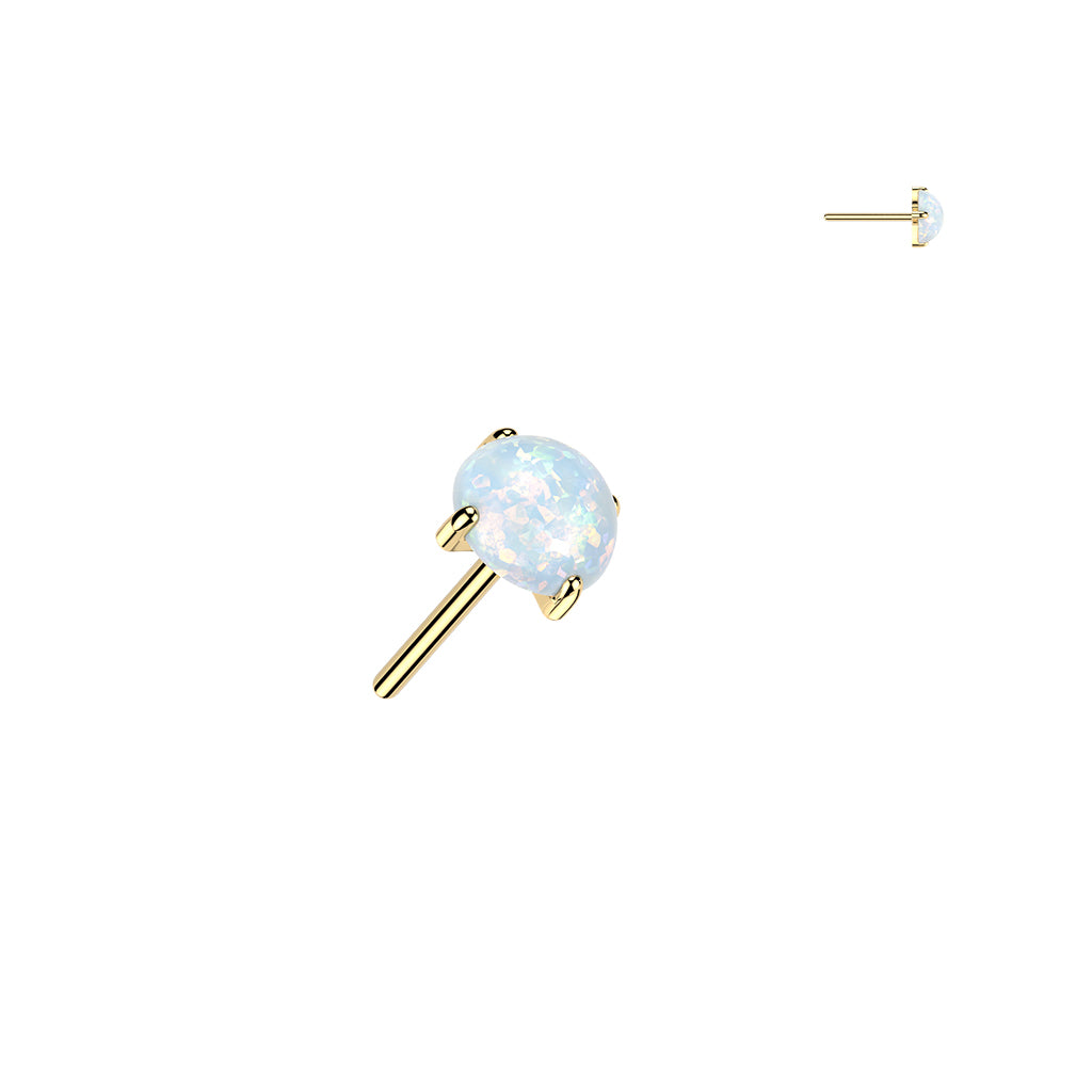 Premium G23 Titanium Flat Claw-set Opal Threadless Top