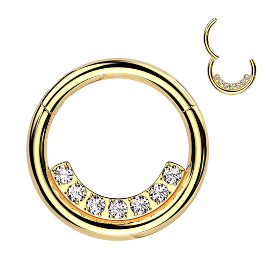 PREMIUM Interior Crystal Hinged Segment Ring 16g