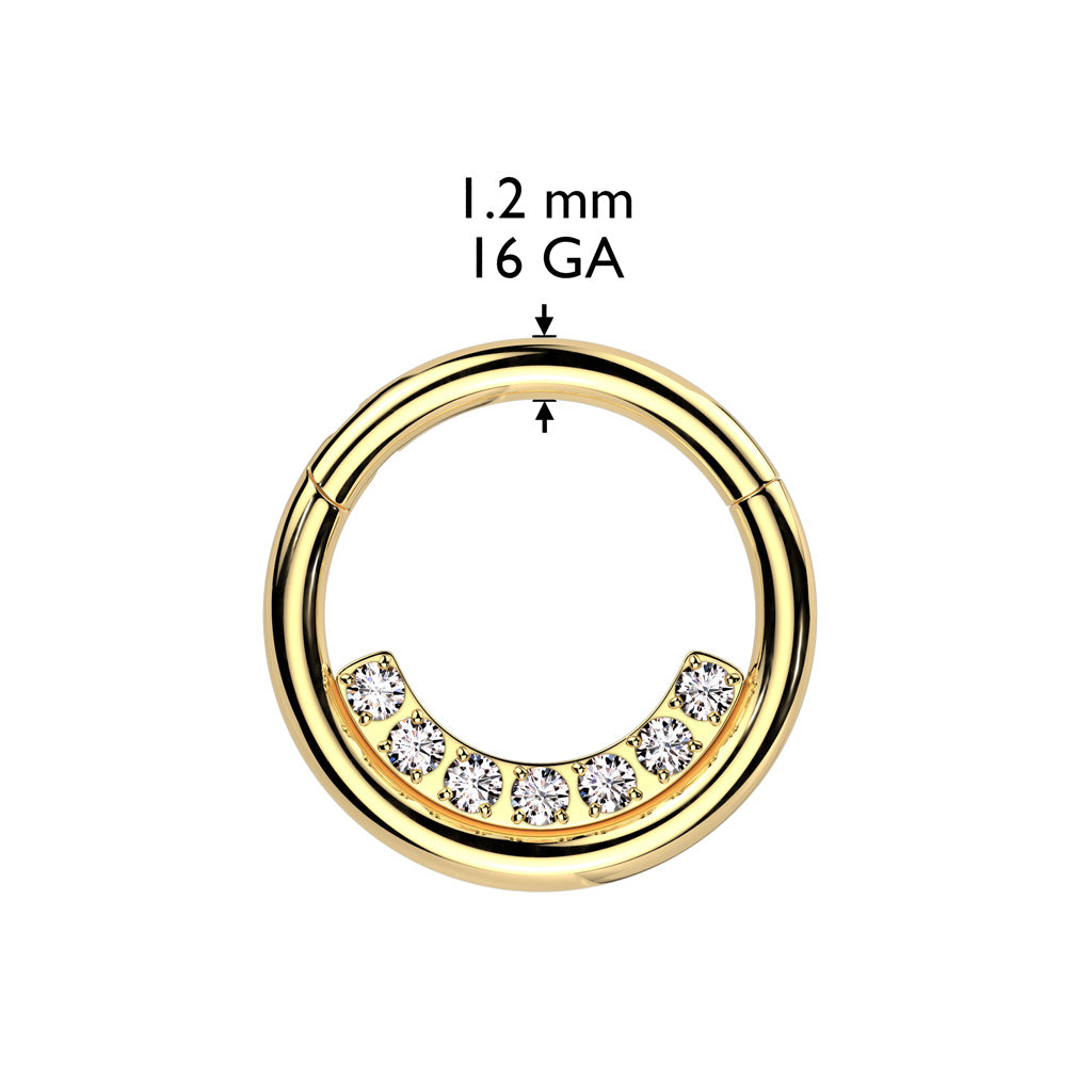 PREMIUM Interior Crystal Hinged Segment Ring 16g