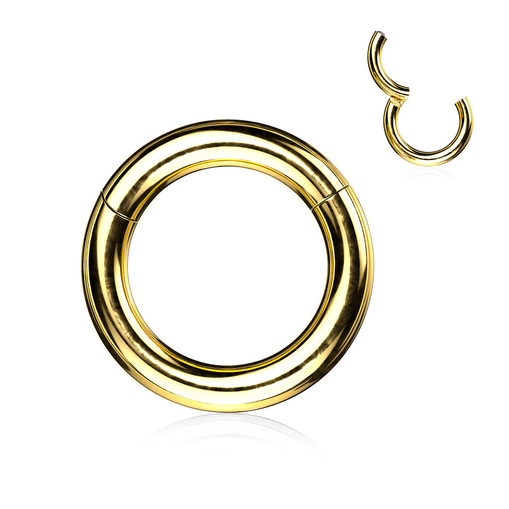 Heavy Gauge Hinged Segment Ring