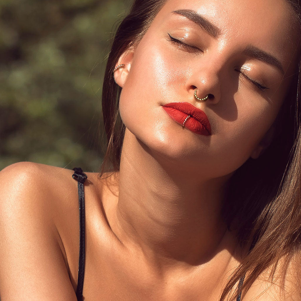 Premium Twist Hinged Segment Ring 16g