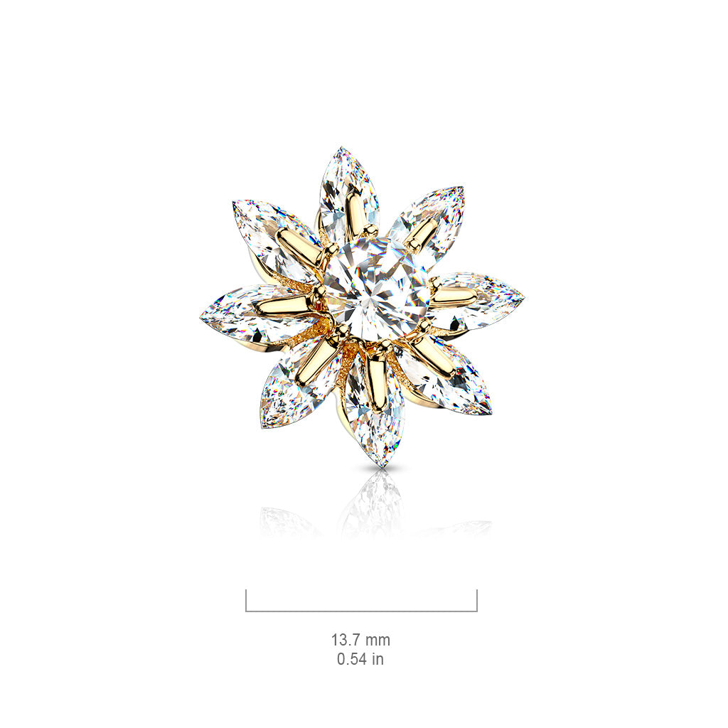 Premium Sunflower Microdermal Top 14g