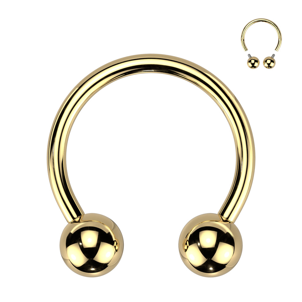Premium G23 Titanium PVD Circular Barbell 18g - 00g
