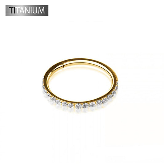 Premium G23 Titanium Crystal Edge Segment Ring