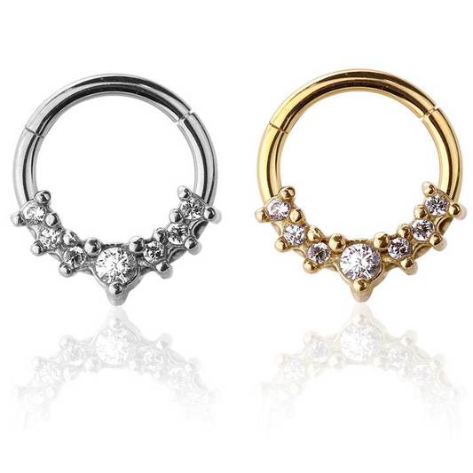 Premium Surgical Steel Claw-Set Crystal Cluster Hinged Segment Ring 16g
