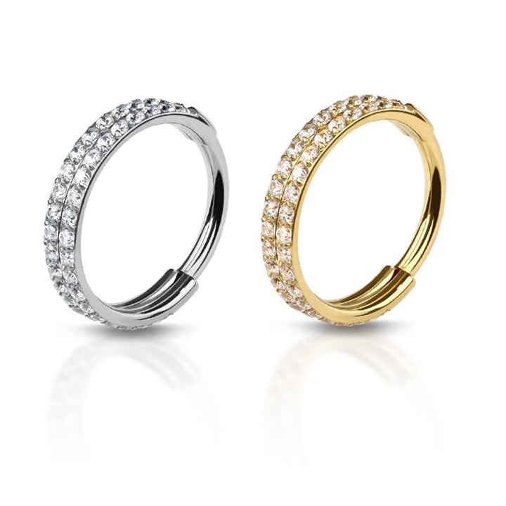 Premium Surgical Steel Double Row Pavé Crystal Hinged Segment Ring 16g