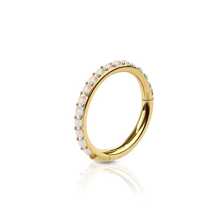 Premium Opal Edge Hinged Segment Ring 16g