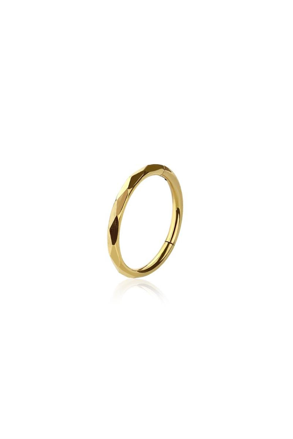 Premium Surgical Steel Etched Hinged Segment Ring 16g