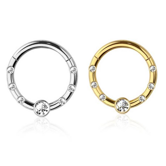 Premium Surgical Steel Multi Bezel-Set Crystal Hinged Segment Ring 16g