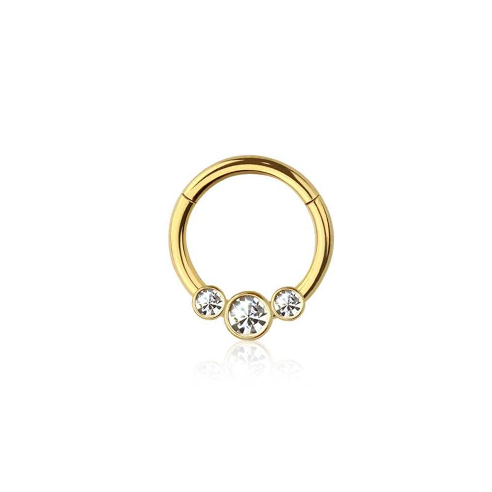 Premium Surgical Steel Graduated 3 Bezel-Set Crystal Hinged Segment Ring 16g