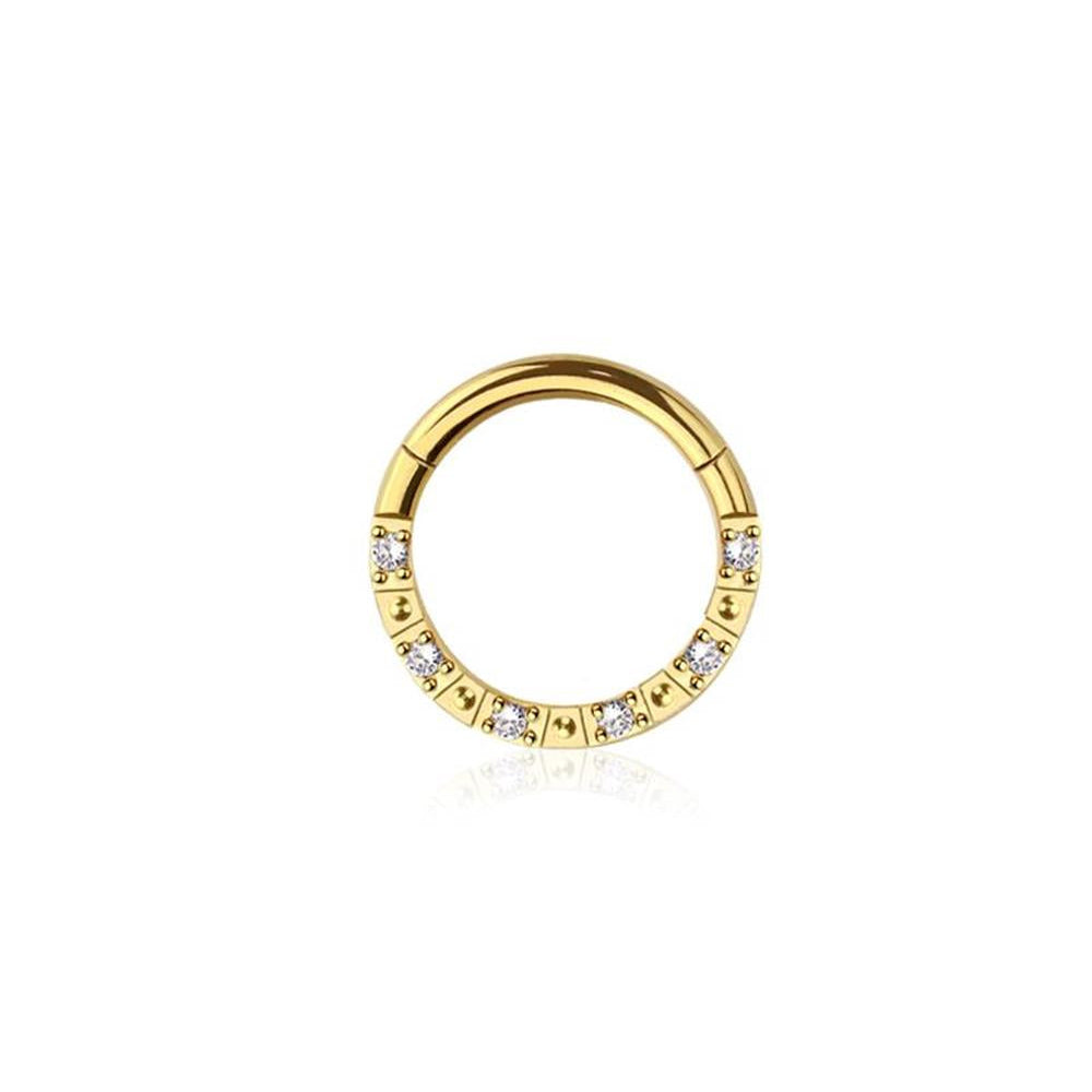 Premium Surgical Steel Alternating Crystal + Bead Hinged Segment Ring 16g