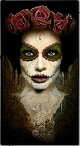 digoil-renowned-signature-collection-art-canvas-old-catrina
