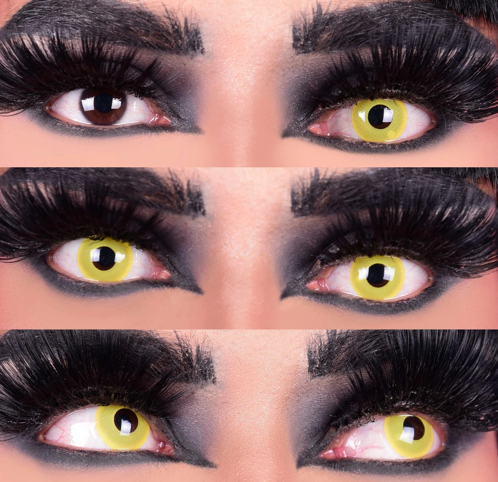 Raven - Primal Contacts